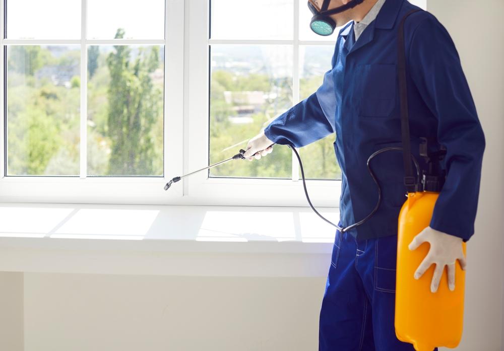 Pest Control: A Guide to Protecting Your Home - Consumer Pointers