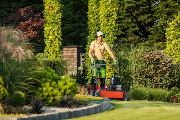 Smart Ways to Cut Your Landscaping and Lawn Care Costs